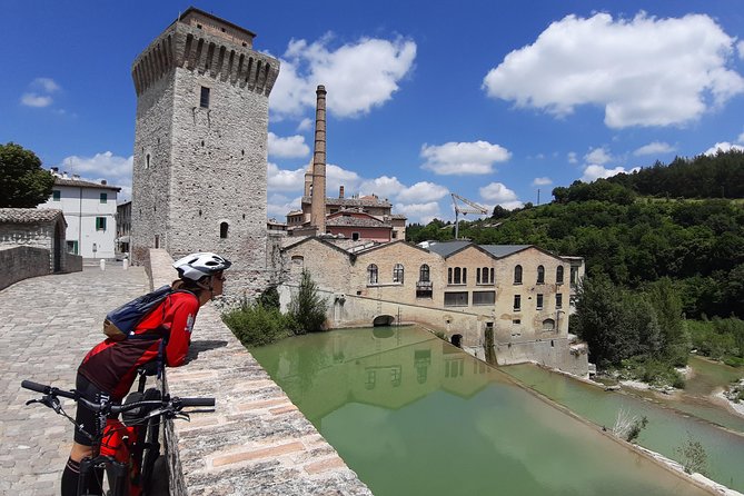 Tour in Ebike Through the Gola Del Furlo Reserve and Truffle Tasting