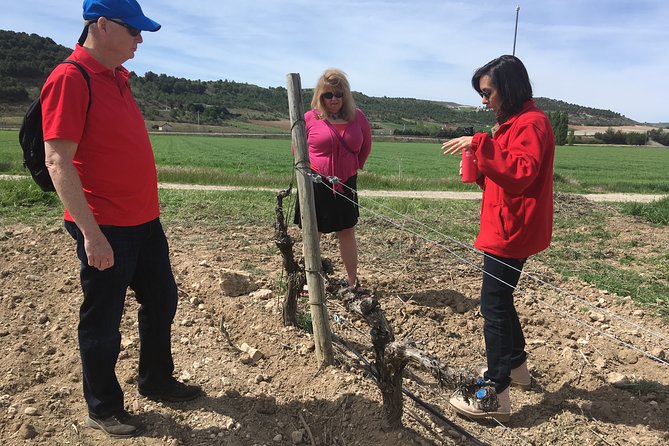 1 tour in ribera del duero from madrid like a native with traditional tapas Tour in Ribera Del Duero From Madrid "Like a Native", With Traditional Tapas