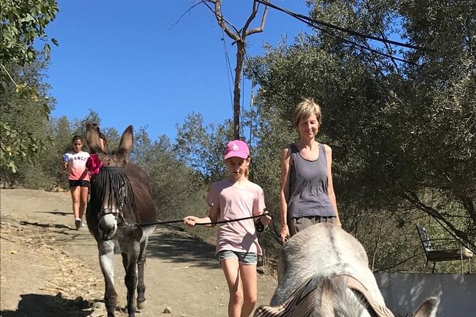 Tour the Sanctuary and Walk With the Donkeys and Share Their Love - Additional Information