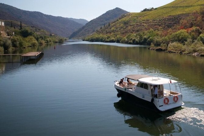 Tour to Douro, Premium Cruise, Lunch at the Farm and 2 Wineries
