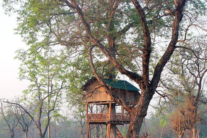 1 tower night stay bardia tree house accommodation in bardia Tower Night Stay Bardia , Tree House Accommodation in Bardia