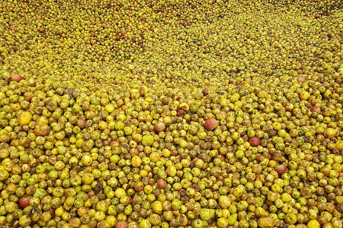 Traditional Basque Cider House Experience From San Sebastian