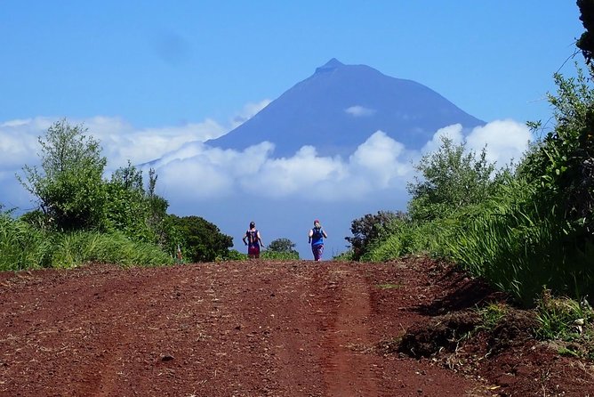 Trail Running Private Tour in Faial
