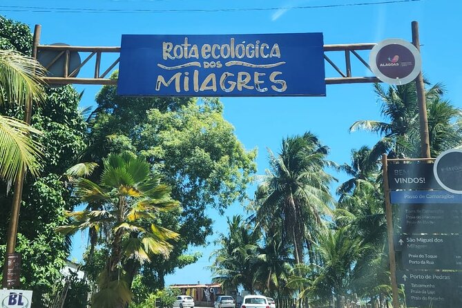 Transfer From Maceió to São Miguel Dos Milagres