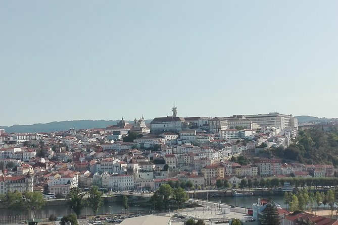 Transfer From Porto to Coimbra Visiting Aveiro, Half Day