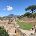 1 transfer naples airport station to sorrento with stop in pompeii Transfer Naples Airport/Station to Sorrento With Stop in Pompeii