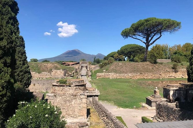 Transfer Naples Airport/Station to Sorrento With Stop in Pompeii
