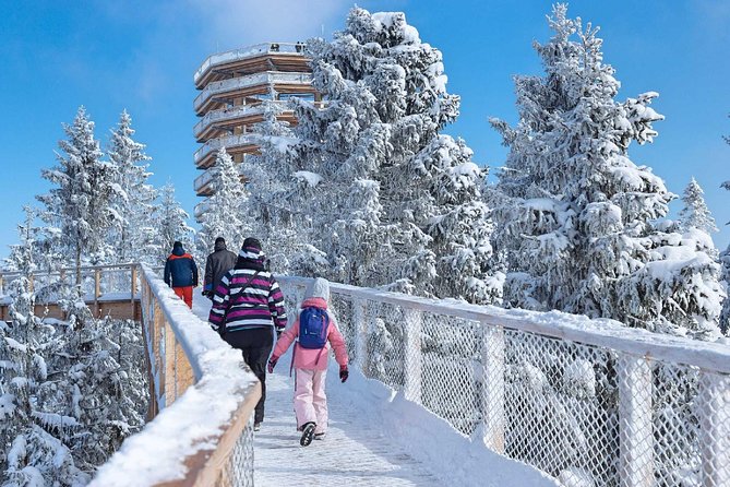 1 treetop walk in slovakia and thermal baths from krakow Treetop Walk in Slovakia and Thermal Baths From Krakow