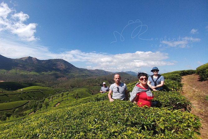 Trekking in Munnar