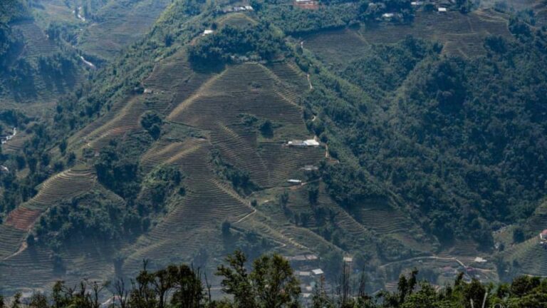 Trekking Through Rice Terraced Fields