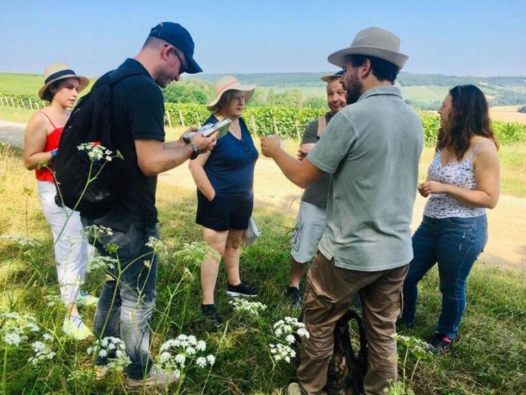 Troyes: Guided Vineyard Hike & Champagne Tasting Experience