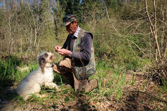Truffle Hunting With Wine Tasting in Chianti