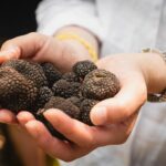 1 truffle picking experience with 3 course lunch in chianti hills Truffle Picking Experience With 3 Course Lunch in Chianti Hills