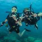 1 try scuba diving experience in fujairah Try Scuba Diving Experience in Fujairah