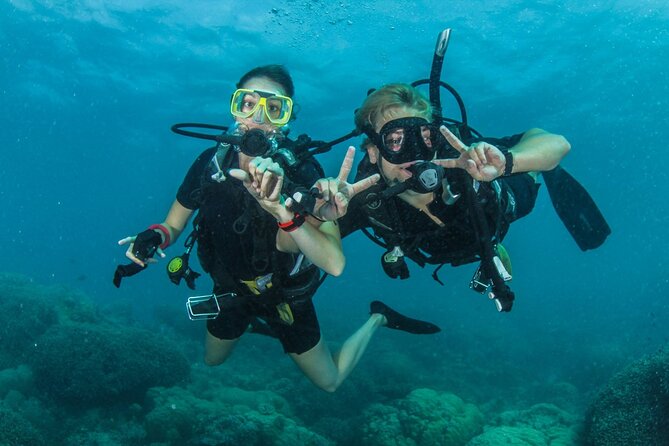 1 try scuba diving experience in fujairah Try Scuba Diving Experience in Fujairah