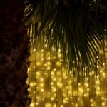 1 tuk tuk funchal magic christmas lights Tuk Tuk Funchal Magic Christmas Lights