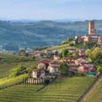 1 turin private barolo wine region day trip with lunch Turin: Private Barolo Wine Region Day Trip With Lunch