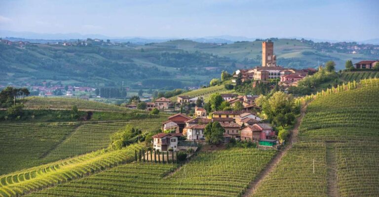 Turin: Private Barolo Wine Region Day Trip With Lunch