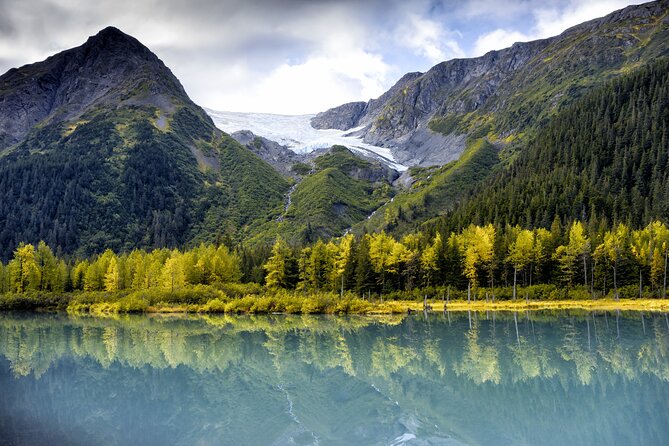 Turnagain Arm Sightseeing Experience and Wildlife Tour