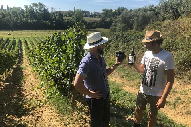 Tuscan Farm and Cellar Visit With Cooking Class and Lunch  – Florence