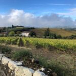 1 tuscany wine tasting in the heart of chianti classico TUSCANY: WINE TASTING IN THE HEART OF CHIANTI CLASSICO