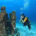 1 two tanks scuba diving for beginners in cancun Two Tanks Scuba Diving for Beginners in Cancun