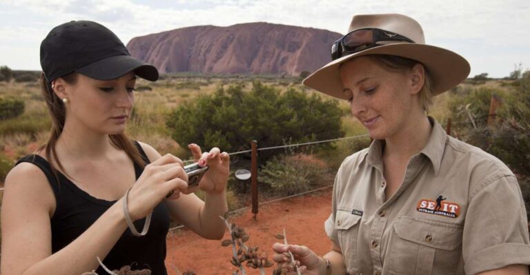 Uluru: Small Group Guided Tour With Sunset Refreshments