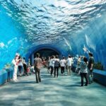 1 underwater world in pattaya admission ticket Underwater World in Pattaya Admission Ticket
