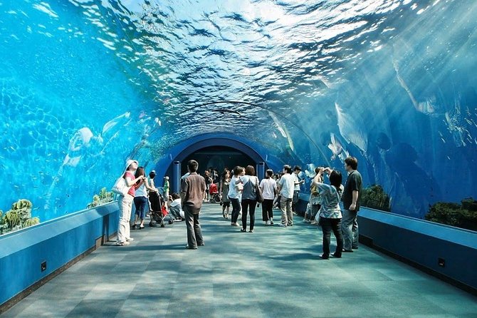 Underwater World in Pattaya Admission Ticket