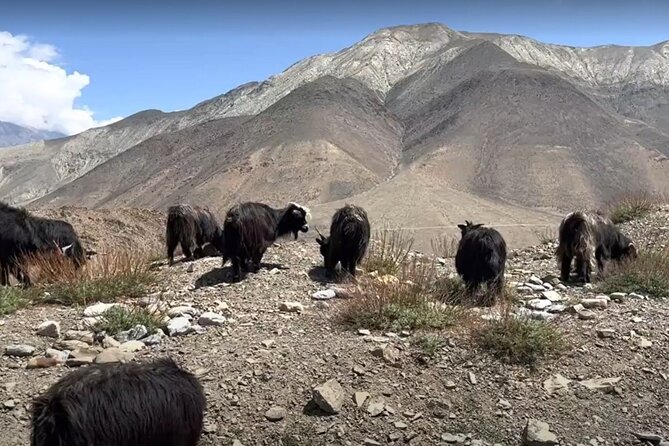 Upper Mustang Trek