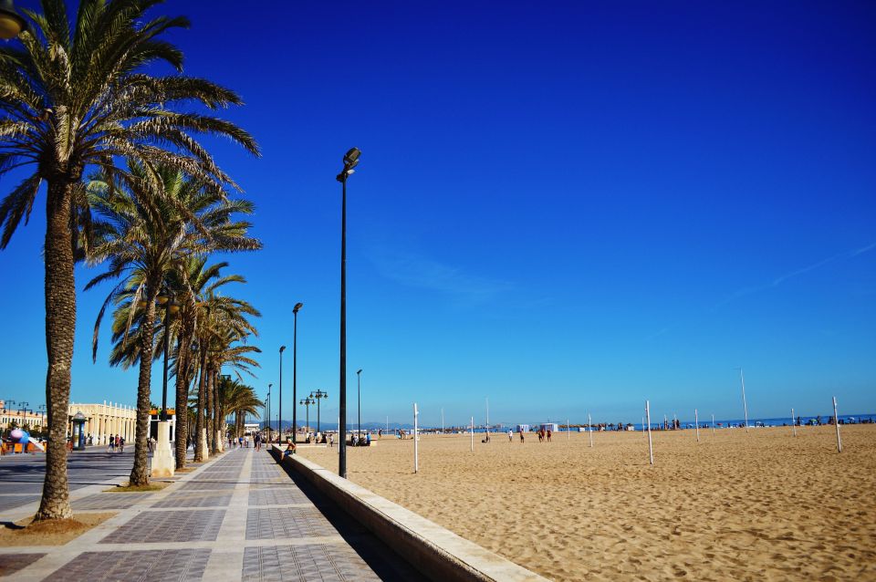 1 valencia 3 hour guided city sightseeing beaches bike tour Valencia: 3-Hour Guided City Sightseeing & Beaches Bike Tour