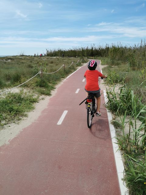 Valencia: Albufera Natural Park Bike and Boat Tour