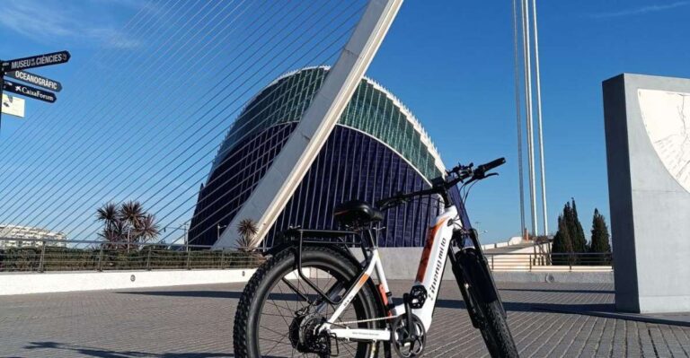 Valencia: The Albufera Lake Self-Guided E-Bike Tour