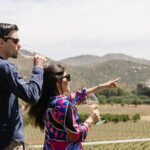 1 valle de guadalupe private wineries tour ensenada Valle De Guadalupe: Private Wineries Tour - Ensenada