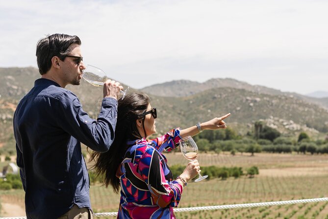 Valle De Guadalupe: Private Wineries Tour  – Ensenada