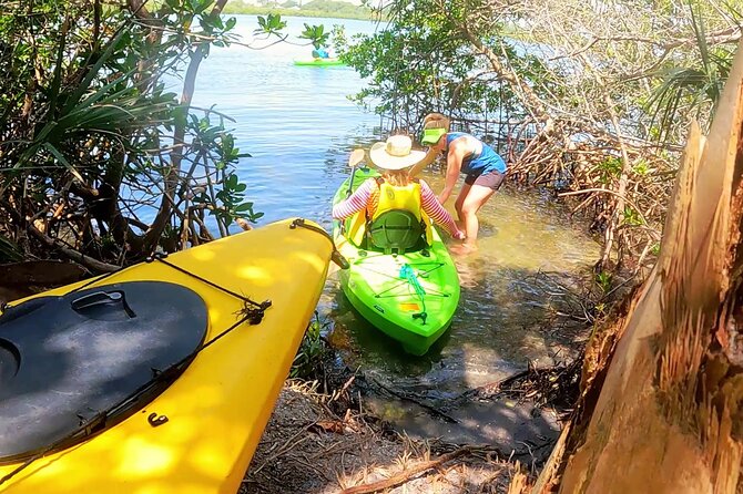 Venice Canal Kayaking Experience  – Fort Myers