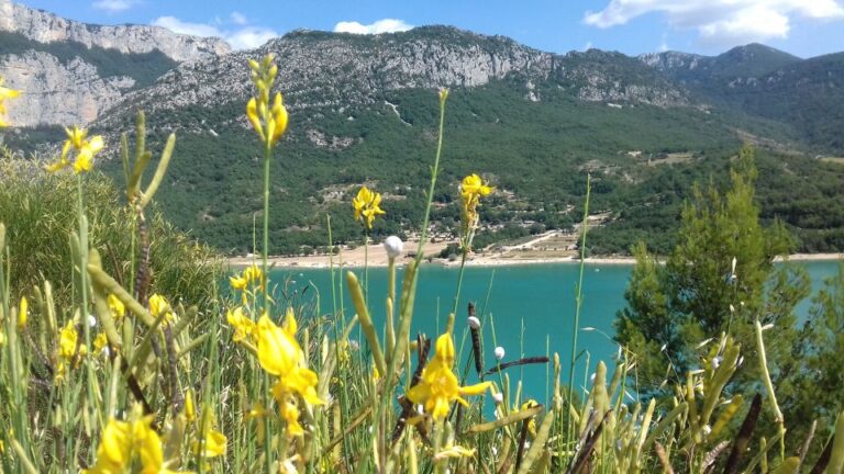 Verdon Gorge: the Grand Canyon of Europe, Lake and Lavender