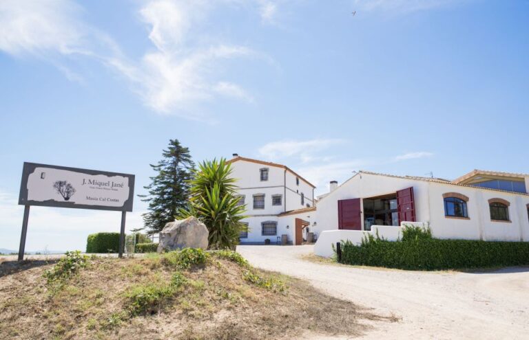 Vilafranca Del Penedès: Winery Visit With Tastings