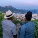 1 vineyard experience wine tasting near split 2 Vineyard Experience: Wine Tasting Near Split