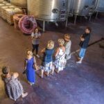 1 vineyards of alicante wine tasting tour Vineyards of Alicante: Wine Tasting Tour