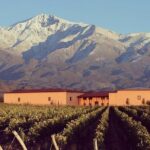 1 vineyards with wine tasting in mendoza Vineyards With Wine Tasting in Mendoza