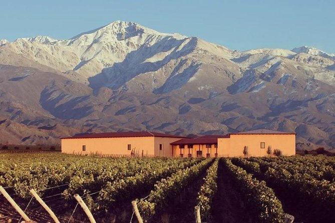 1 vineyards with wine tasting in mendoza Vineyards With Wine Tasting in Mendoza