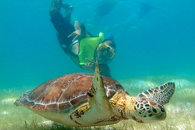 VIP Tulum & Turtles Private Tour