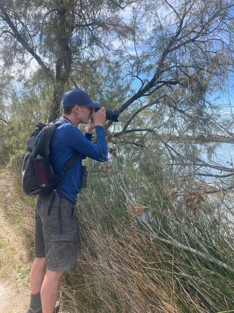 Visit Camargue and Salt Marshes From Montpellier