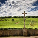 1 vosne romanee private vineyards walking tour with tasting Vosne-Romanée: Private Vineyards Walking Tour With Tasting