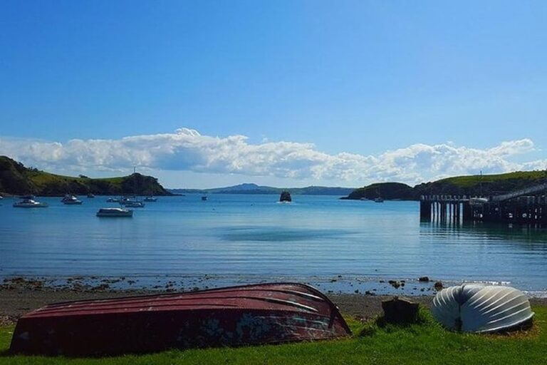 Waiheke Island: Double Headland Premium Guided Coastal Walk