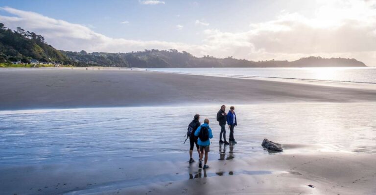 Waiheke Island: Forest and Beach Premium Guided Walk