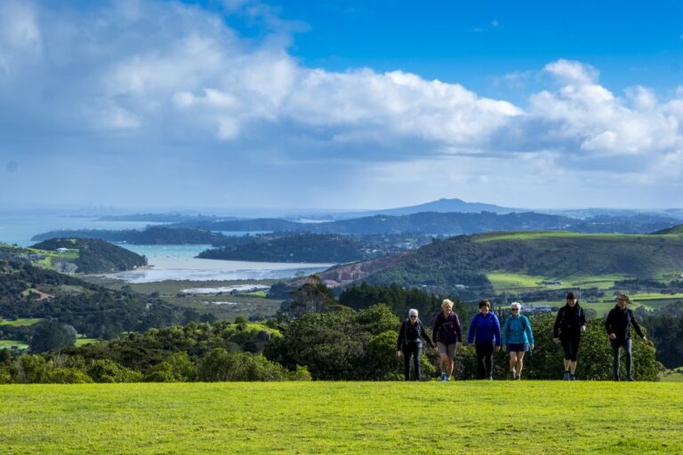 Waiheke Island: Premium Vineyard, Wine Tasting and Bush Walk