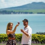 1 waiheke island the essence of waiheke wine tour Waiheke Island: The Essence of Waiheke Wine Tour