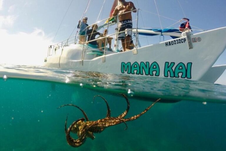 Waikiki: Tradewind Sail Catamaran Adventure